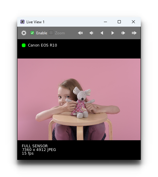 _images/ss6_windows_liveview.png