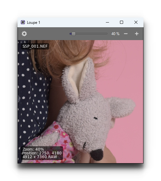 _images/ss6_windows_loupe.png