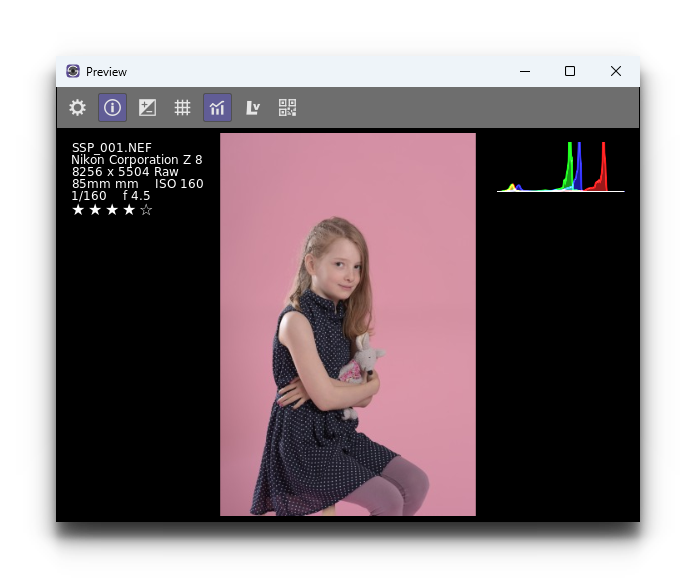 _images/ss6_windows_preview.png